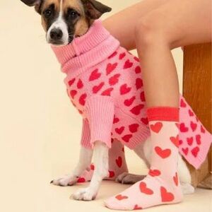 Little Beast heart sweater dog sweater M new